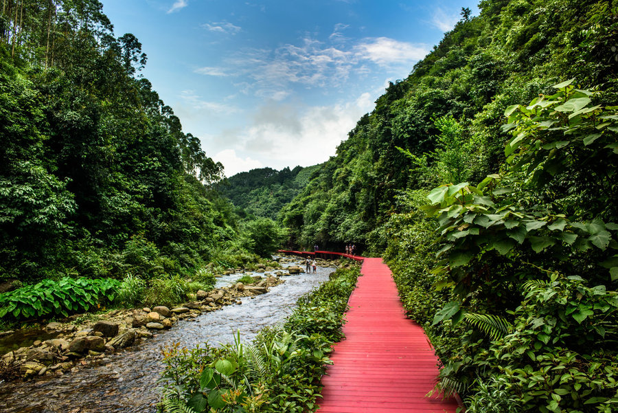 別致的塑木棧道，別致的風景