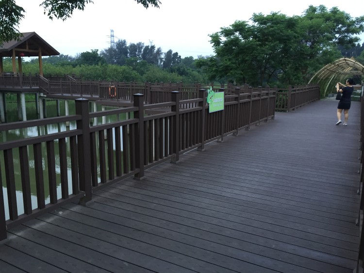 深圳海上田園濕地改造案例：百妥木定制塑木護欄守護濱海生態景觀